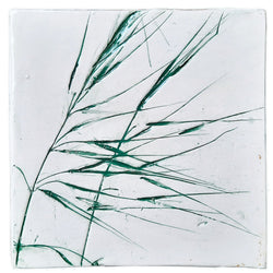 Mattonella in ceramica avena fatua