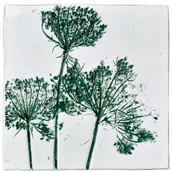 Mattonella in ceramica daucus carota