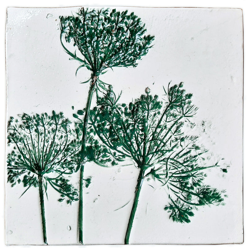 Mattonella in ceramica daucus carota