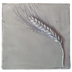 Mattonella farro