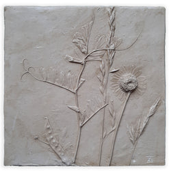 Mattonella cota tinctoria e vicia sativa