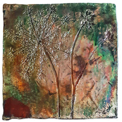 Mattonella raku daucus carota